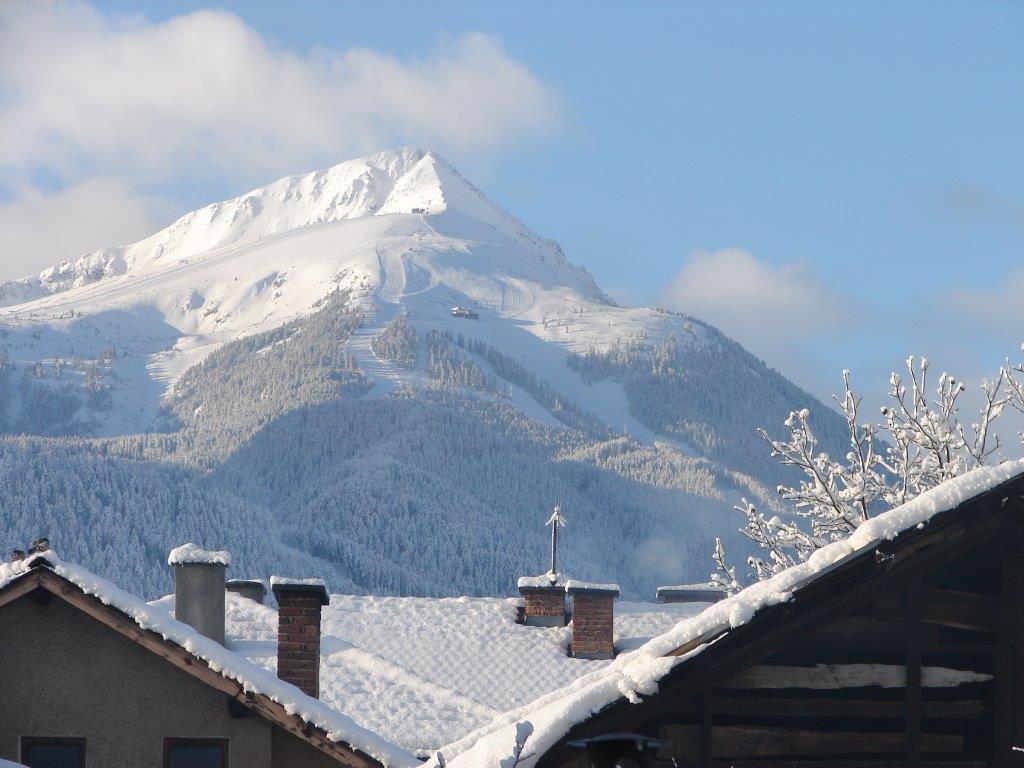 Chalet White Fang Bansko Exteriör bild