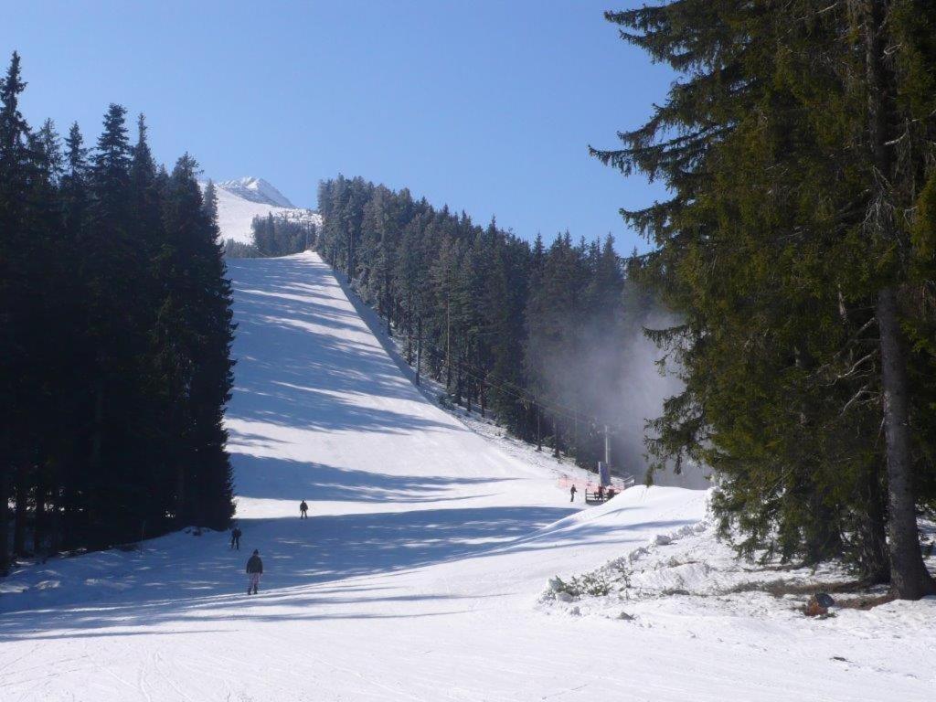 Chalet White Fang Bansko Exteriör bild